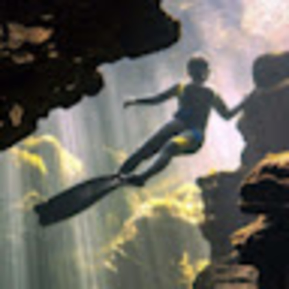 Meet your Posher, Mackenzie